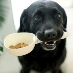 Food Measuring Spoon