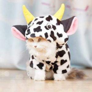 Pet Warm Sweater Cow Style