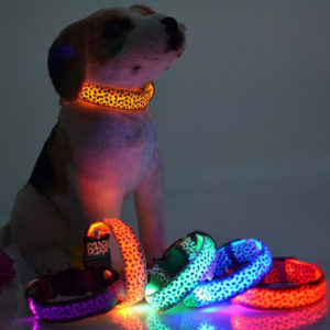 LED Flashing Dog Band