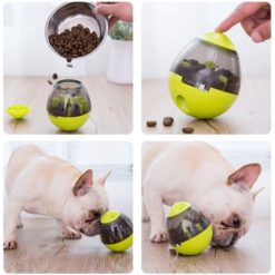 Dog IQ Treat Dispenser Toy