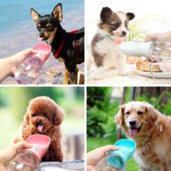 Portable Dog Water Bottle